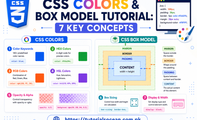 CSS colors and box model tutorial – padding border margin diagram